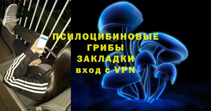 Галлюциногенные грибы Psilocybe  OMG как зайти  Щёлкино 